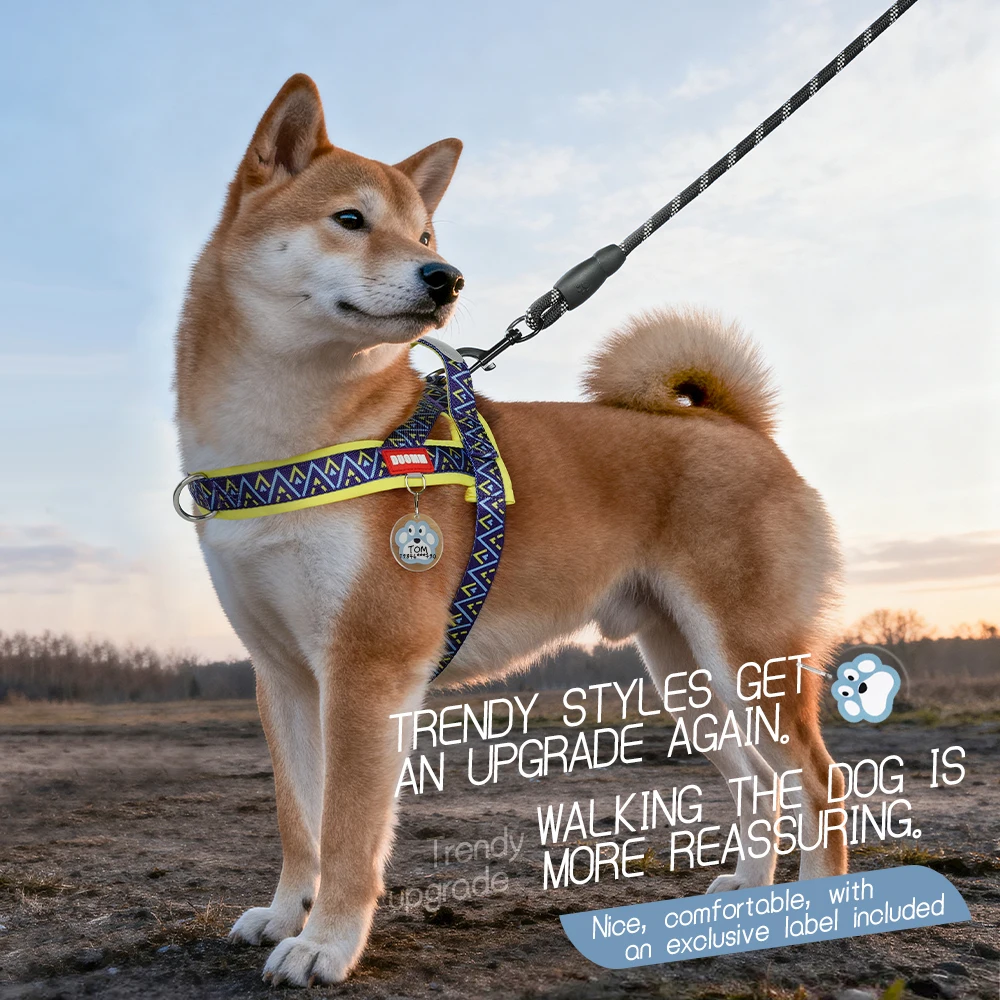Thumbnail 2 - #54 Best Puppy Harnesses to Buy In 2026
