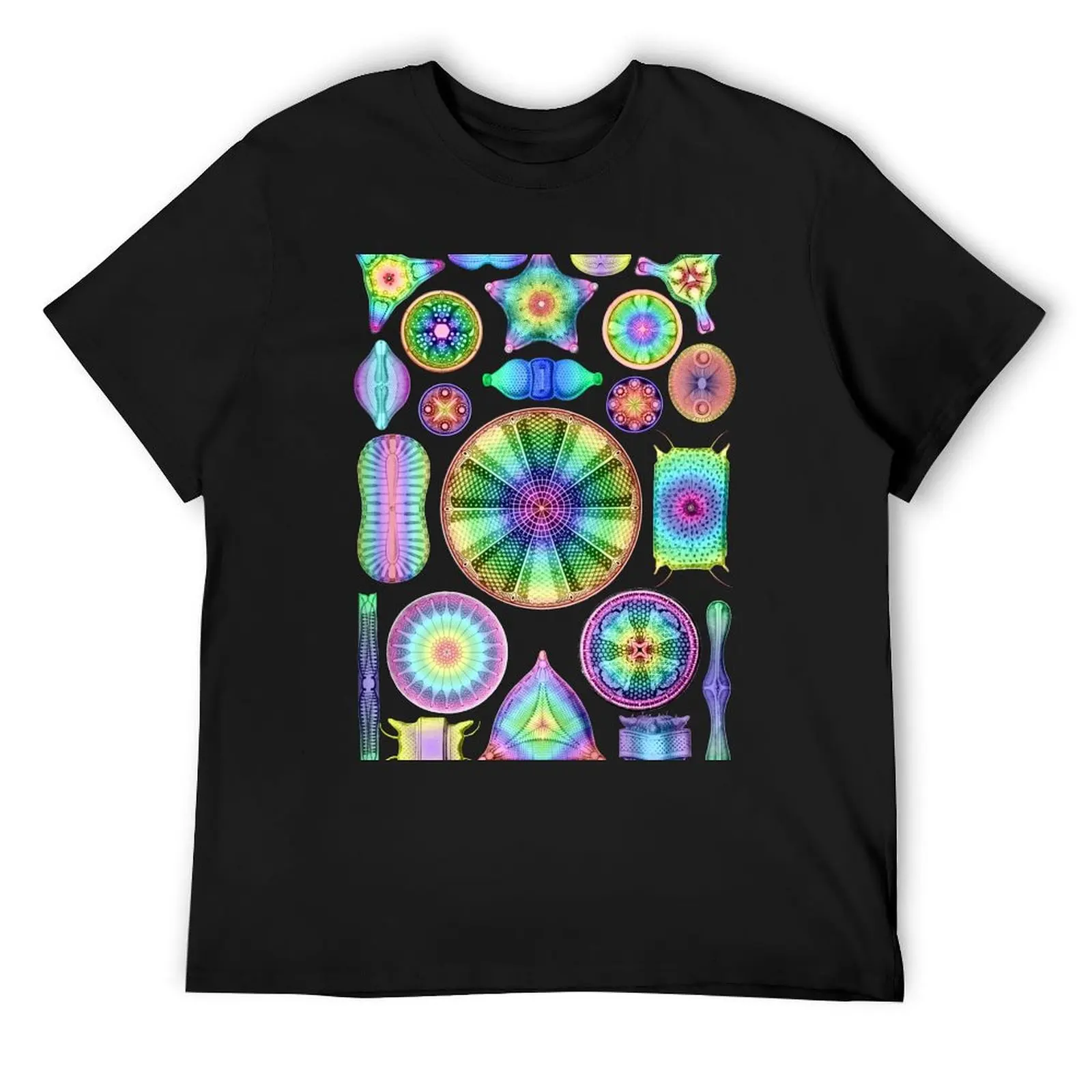 

Ernst Haeckel Rainbow Diatoms T-Shirt plus size clothes man t shirt aesthetic clothes t shirts for men pack