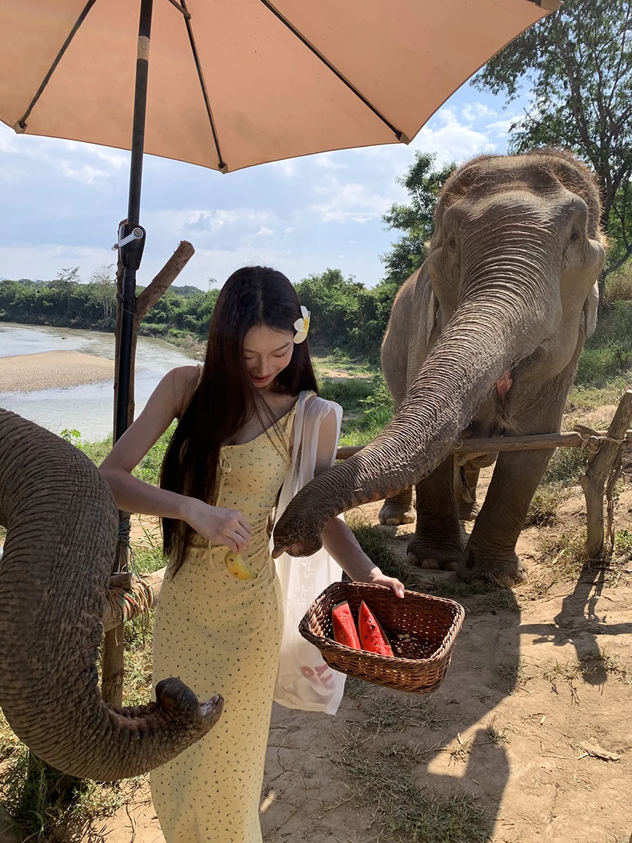 Estate New Sle Red Celebri Club Strap Dr Gonna lunga floreale a vita alta da donna Gonna Sensation Pendolarismo Semplice Sle