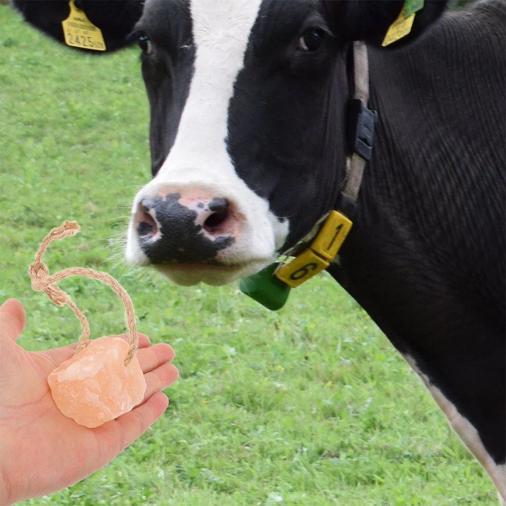 4-delig dier likzoutblok voor hertenhouder mineraal paard geit konijn paarden traktaties gezond vee en schapenblokken