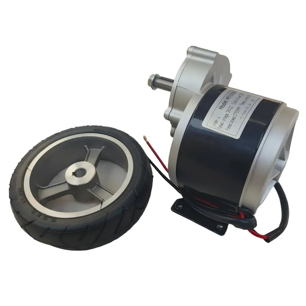 Electric Vehicle Motor DC36V 250W Brushed Motor 10A 2750RPM DC Motor 40mm Long Axis Brushed Gear DC Motor