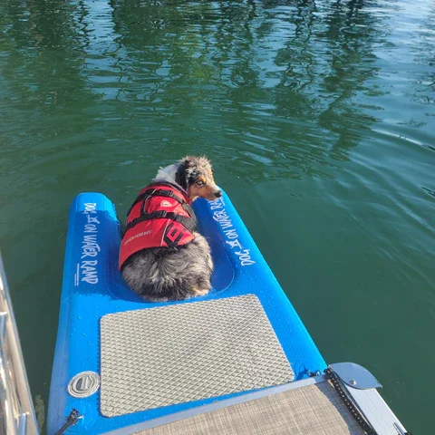 Inflatable Pup Plank Series Floating Dog Water Ramp Float Ladder for Boats Pools Steps for Swimming Pets