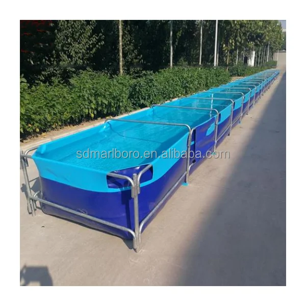 AIROW Custom Commercial High Q - огляд і ціна Aquarium Fish Sale