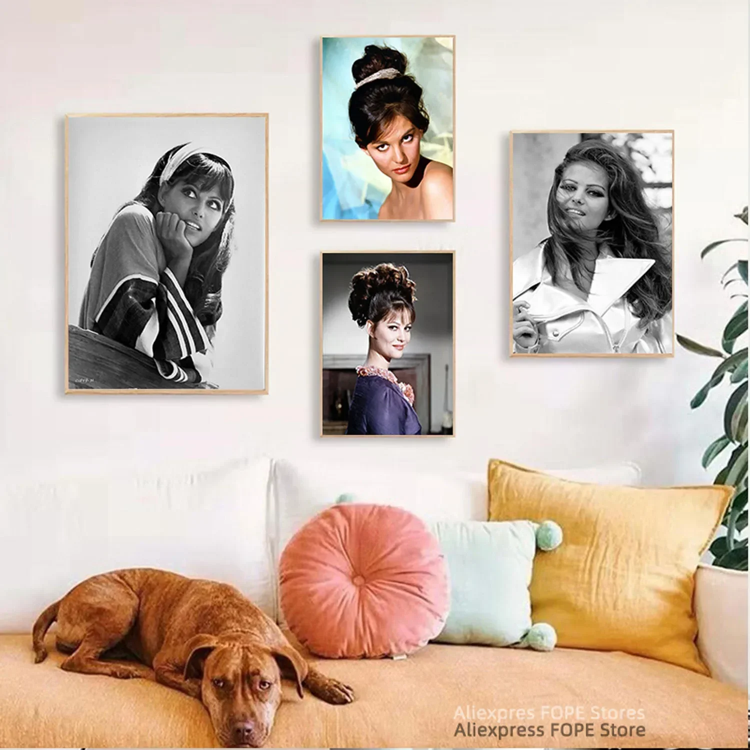 ملصقات ومطبوعات قماشية لصورة المشاهير ، فن جداري ، لوحات ومطبوعات ، سينما ومشاهير ، كلوديا كاردينالي ، ديكور منزلي