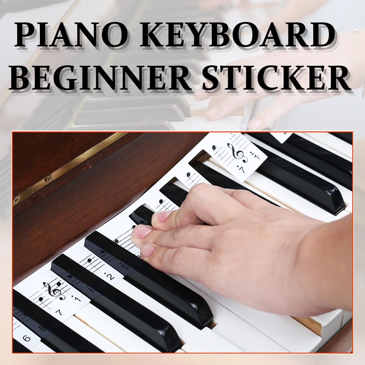 

Component Keyboard Stickers Piano Removable Pvc Reusable Learning Supplies Note Labels