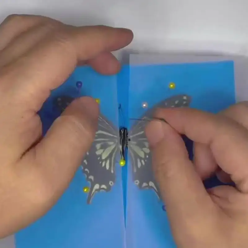 【E】Weiß/blaues Insekten-Steckbrett, doppelseitige kombinierte Teller aus EVA-Schaum, Pose-Insektenbretter, Schmetterlings-Spreizflügel – Detail 8