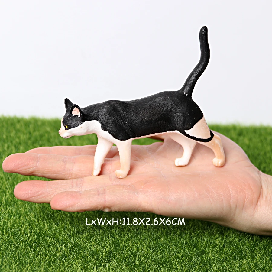 Cat -26