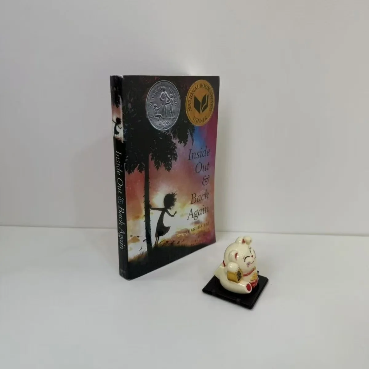 

Книга «Внутри и снова обратно» в мягкой обложке на английском языке