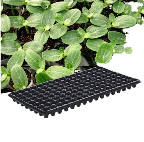 72홀 묘목 트레이 자동 채소 육묘기용 홀 트레이 파종기