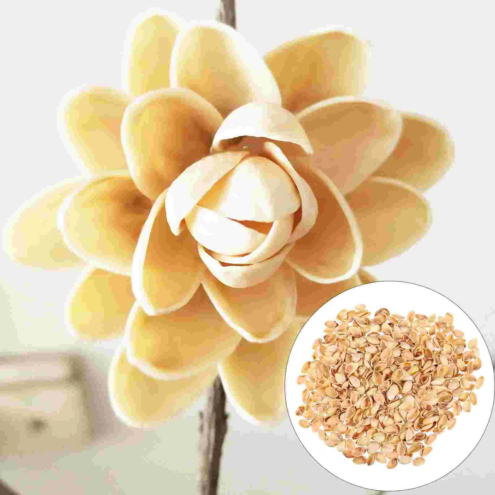 Pistachio Shell Crafts Supplies for Kids Food Handicraft Material Shells Decorative Painting DIY Materials Accessory Child