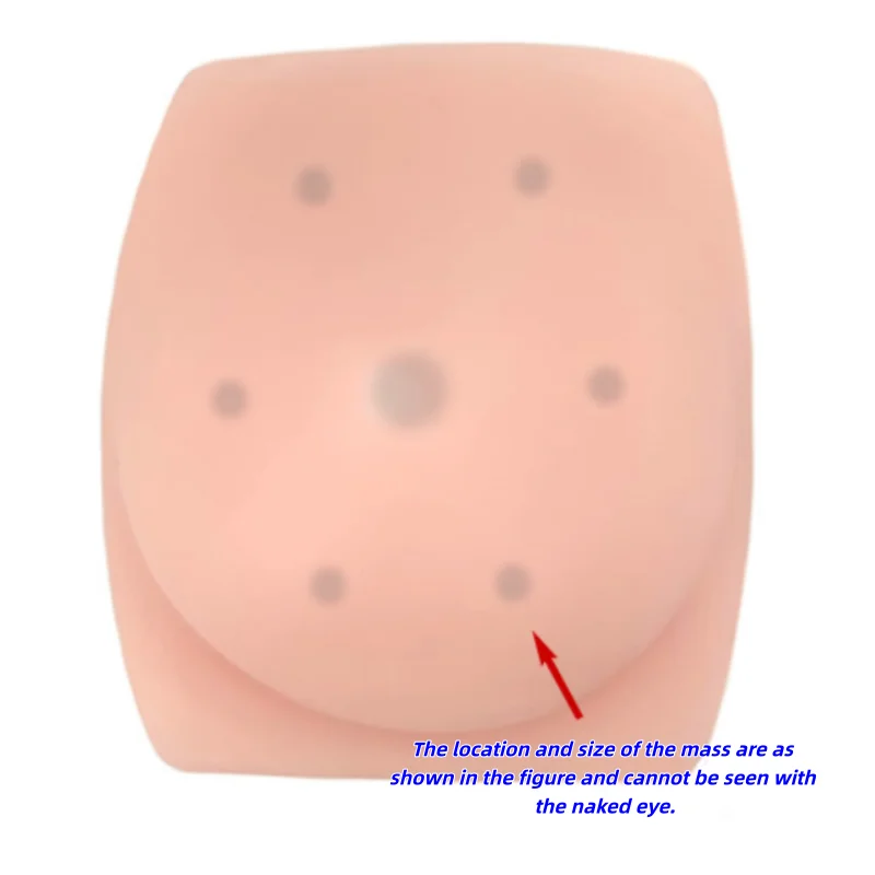Ultrasound training model The silicone model of breast mass biopsy guided by B-ultrasound was soft