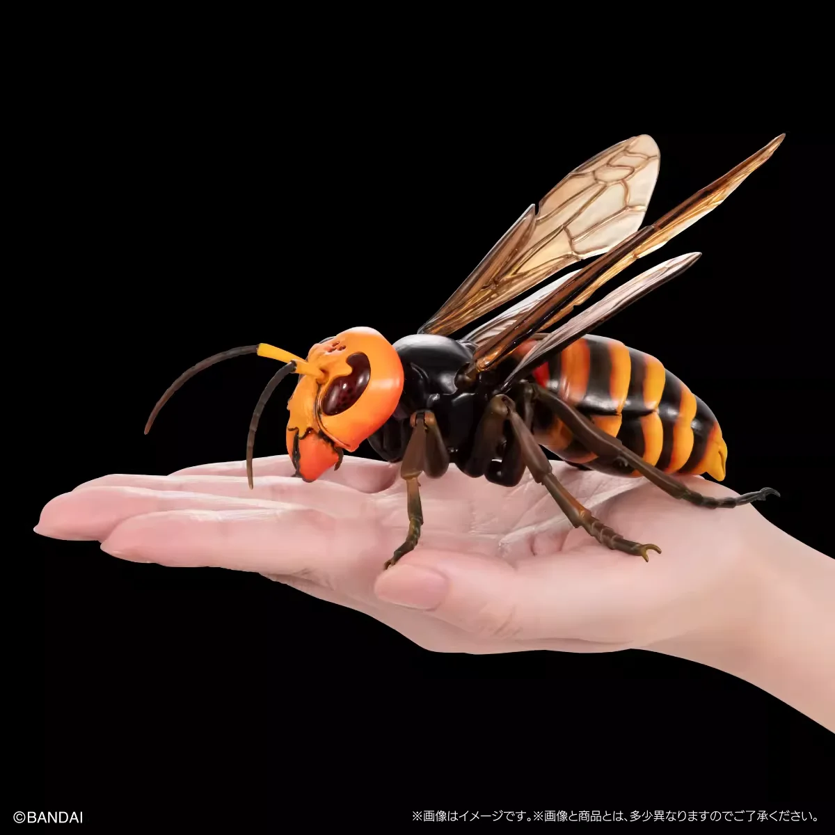 BANDAI Biological Encyclopedia Figures Model wasp Golden ring wasp Near Hornet wasp Gashapon Original toys