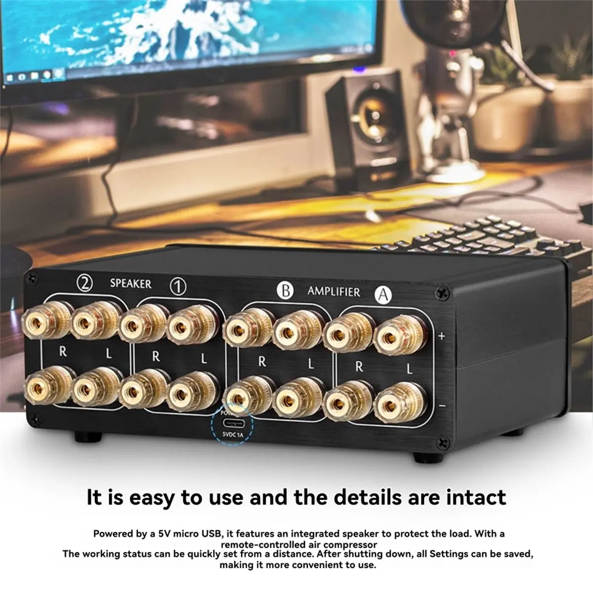 Punctual- Dual Anal…