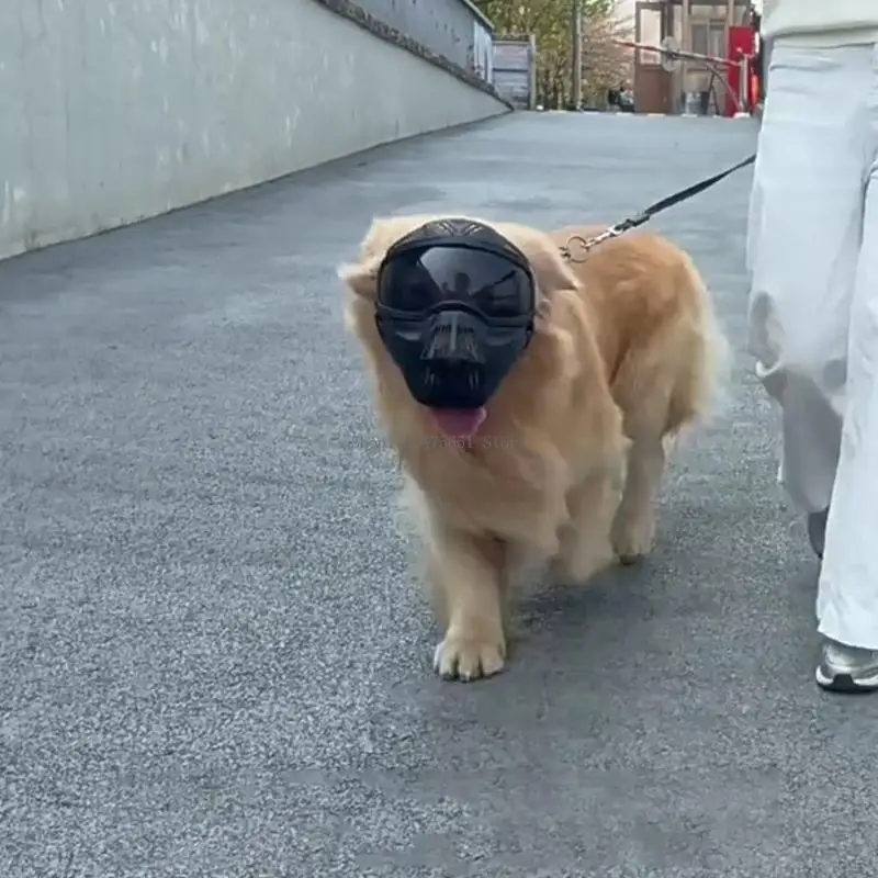 gafas-protectoras-para-perros-a-gafas-seguras-gafas-para-mascotas-a-prueba-aire-libre
