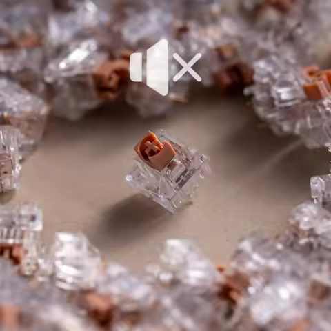 SOULCAT &amp; SPM Longan Switch 5PIN Mute Paragraph Switch Prelubrication Custom 42g Trigger Office Mechanical Keyboard Accessories