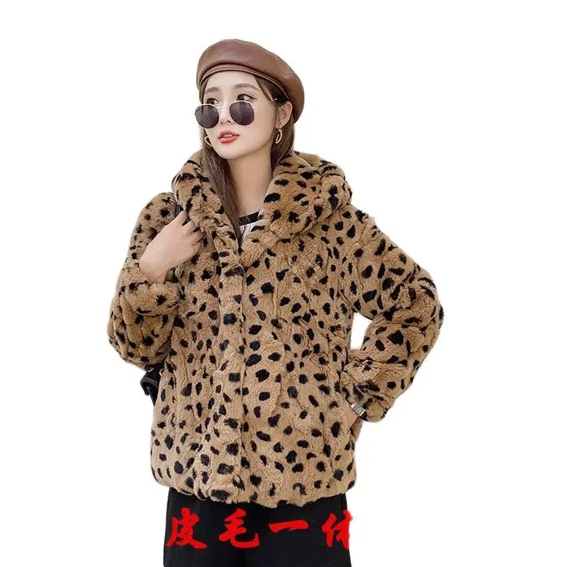 

2023 New Young Rex Rabbit Fur Coat Female Short Hooded Fur One Long Sleeve Korean Version Large Size Fashion Casual Coat Female