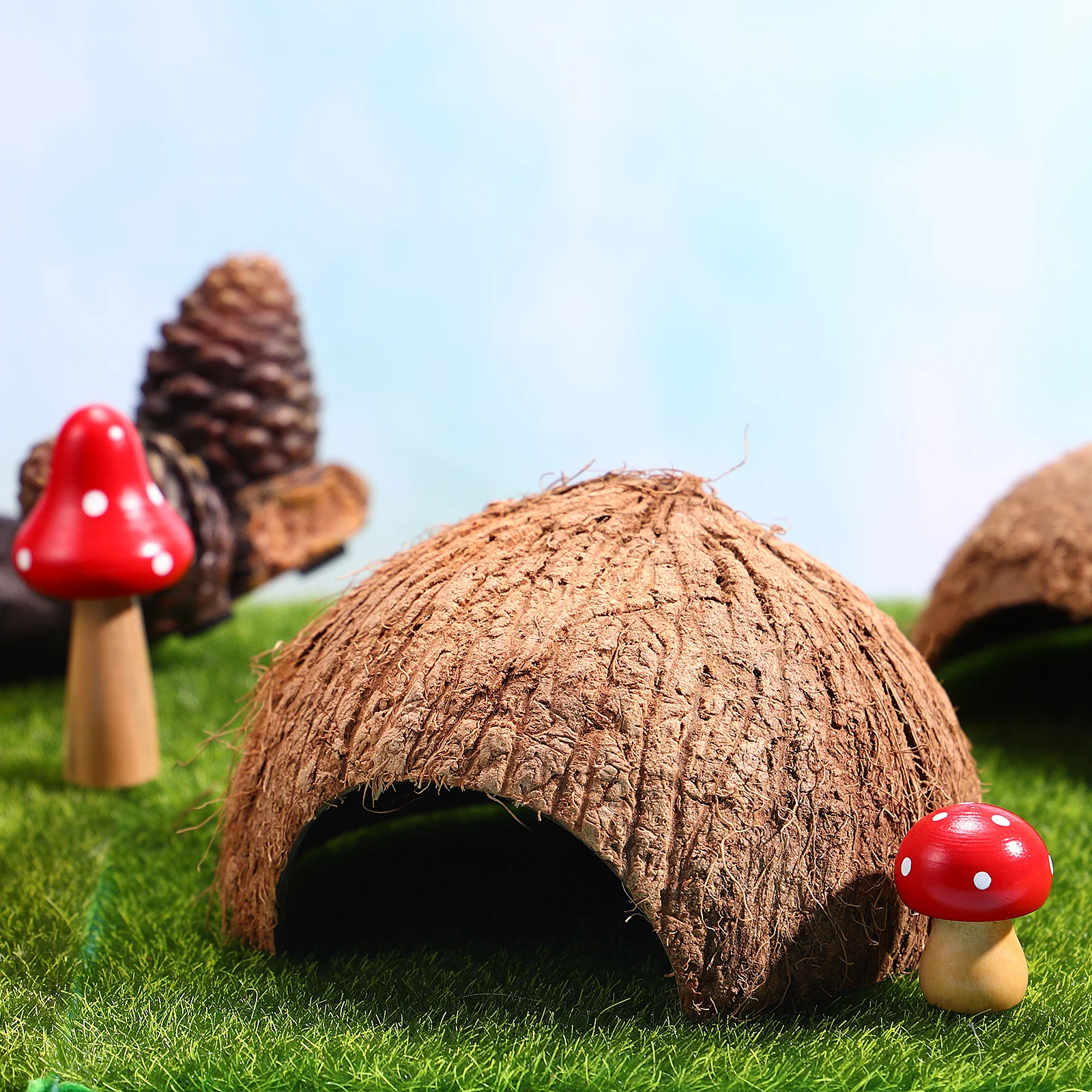 

2Pcs Natural Coconut Shell Hut Reptile Hideouts Reptile Cave for Small Lizards Spiders Hermit Crabs Snails Pet