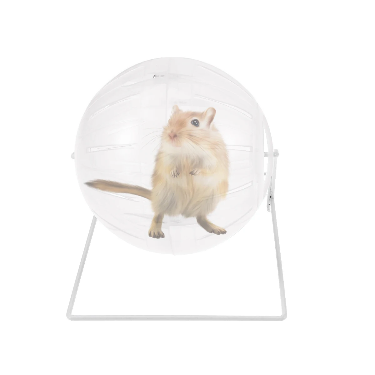 

Hamster Running Plastic Metal Safe Non-Toxic Exercise Small Animals Pet Activity Mini Ball For Rodents Gerbils Running