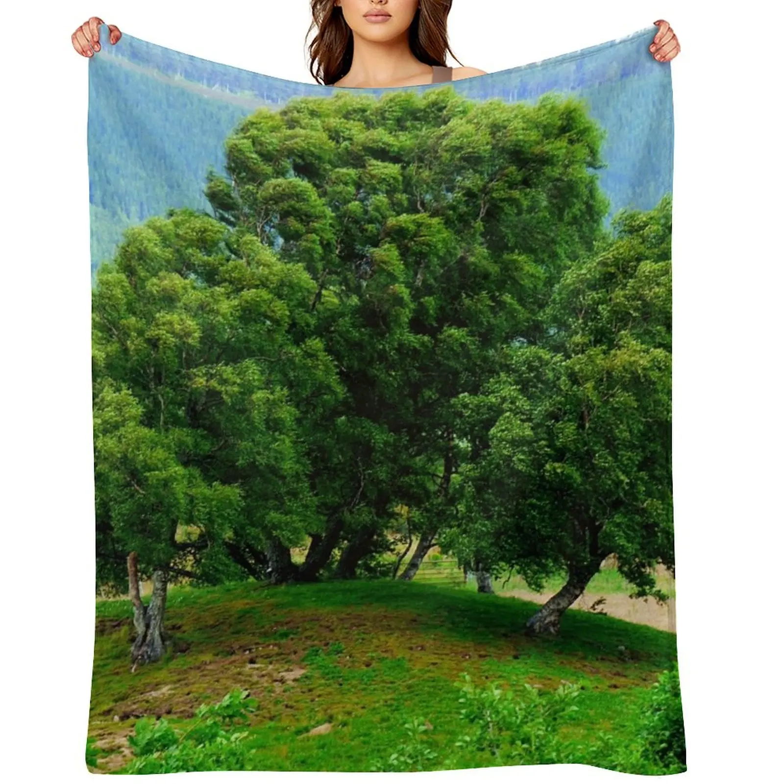 

Birch Trees Friends Forever Throw Blanket Sofa Single Giant Sofa Thins Blankets
