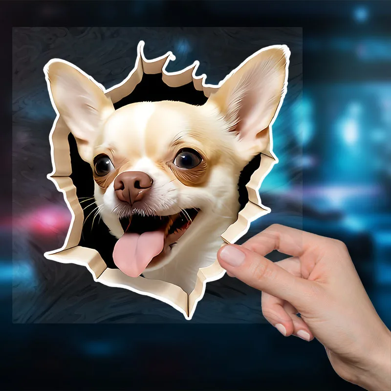 Chihuahua Wall  Car Decal -High Transparency Double-Sided Scratch-Resistant Vinyl Sticker for Cars Motorcycles Laptops and Walls
