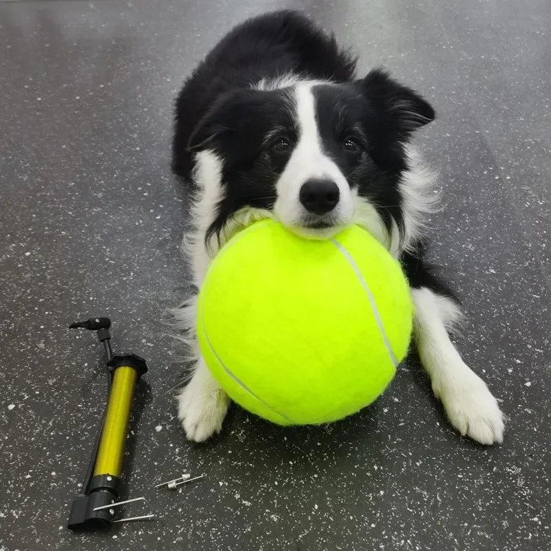 Pet Toy Inflatable Tennis Ball Training Rubber Elastic Force Dog Toy M-XL Product Supplies SuperChewy Tough Bite-resistant Ball