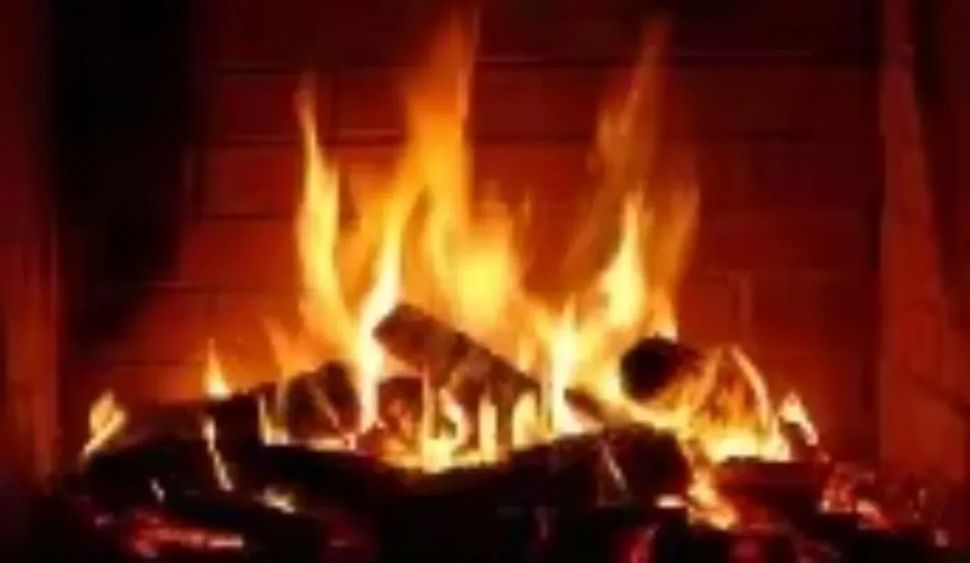 E-Smart Length 660mm 4D Smart Real Cozy Fire Illusion Dazzling Wood Burning Intelligent Electric Fireplace