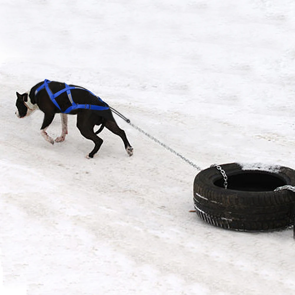 Reflective Dog Sled Harness Waterproof Big Dog Sledding Harnesses Pet Training Pull Strength Strap for Dogs Skijoring Scootering