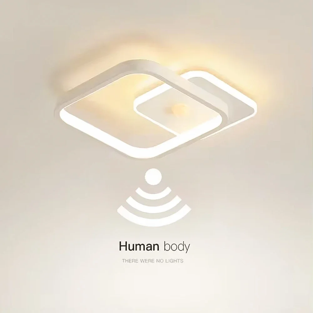 Modern LED Ceiling Light, Human Body Induction Lamp for Living Room, Entrance, Hallway, Corridor Sensor Lamp Indoor Lighting Fix