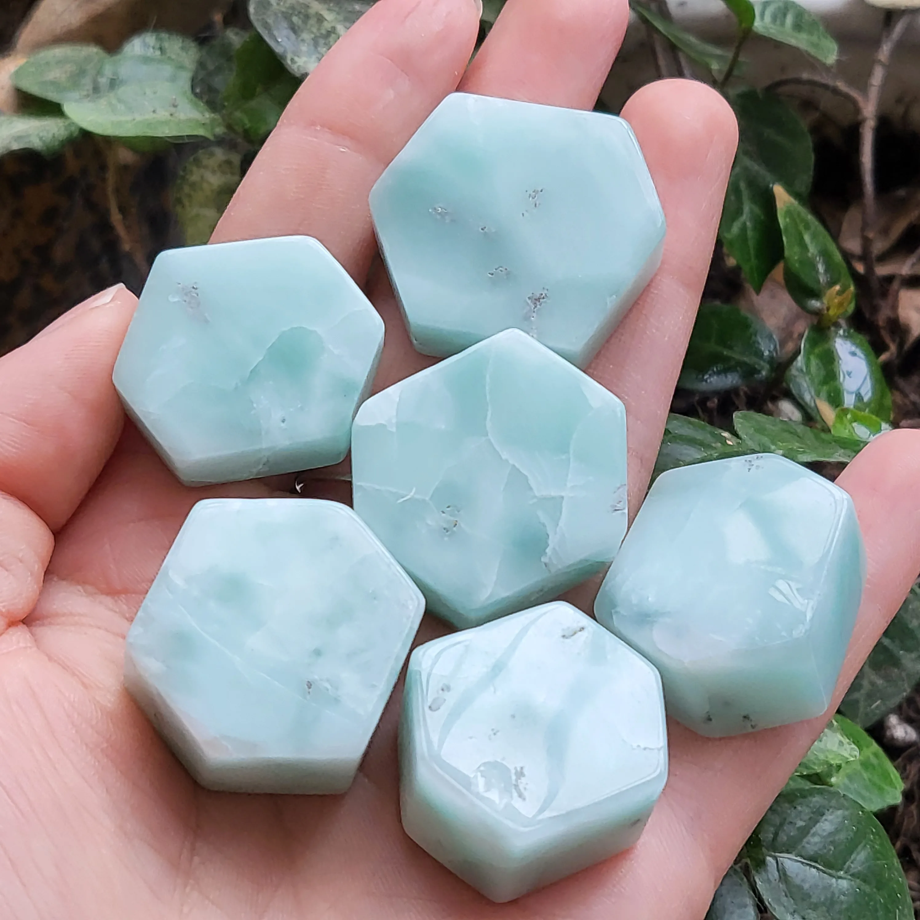 Larimar naturel napimar hexagone poisson à collectionner, décoration précieuse, 6 pièces