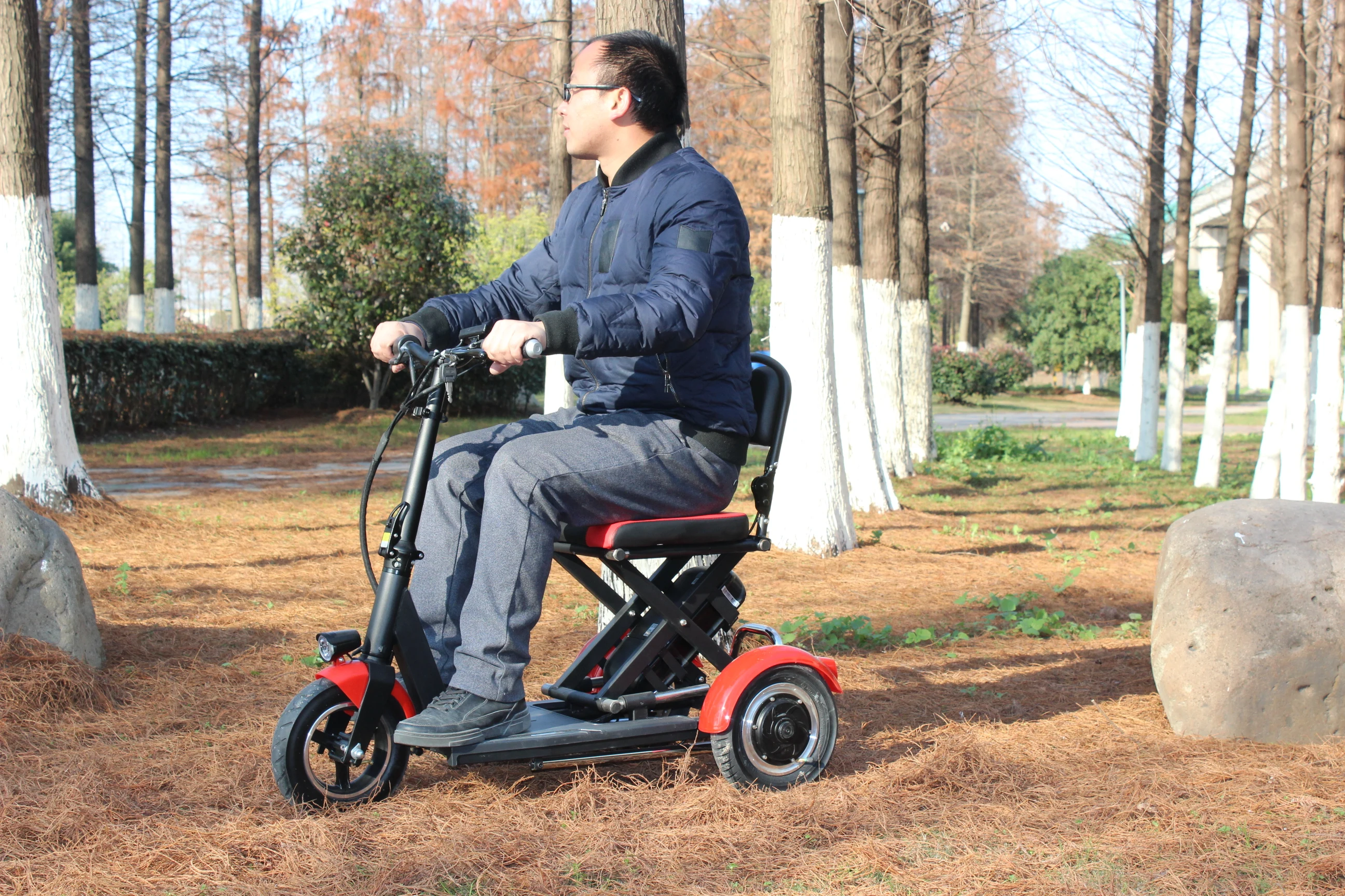 mini 36V/300W tricycle electric mobility scooter the old man and the disabled  friendly electric scooter custom