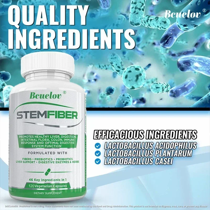 Daily Probiotic Supplement - Fiber, Prebiotics and Digestive Enzymes - Relieves Gas, Constipation and Bloating, Digestive Health