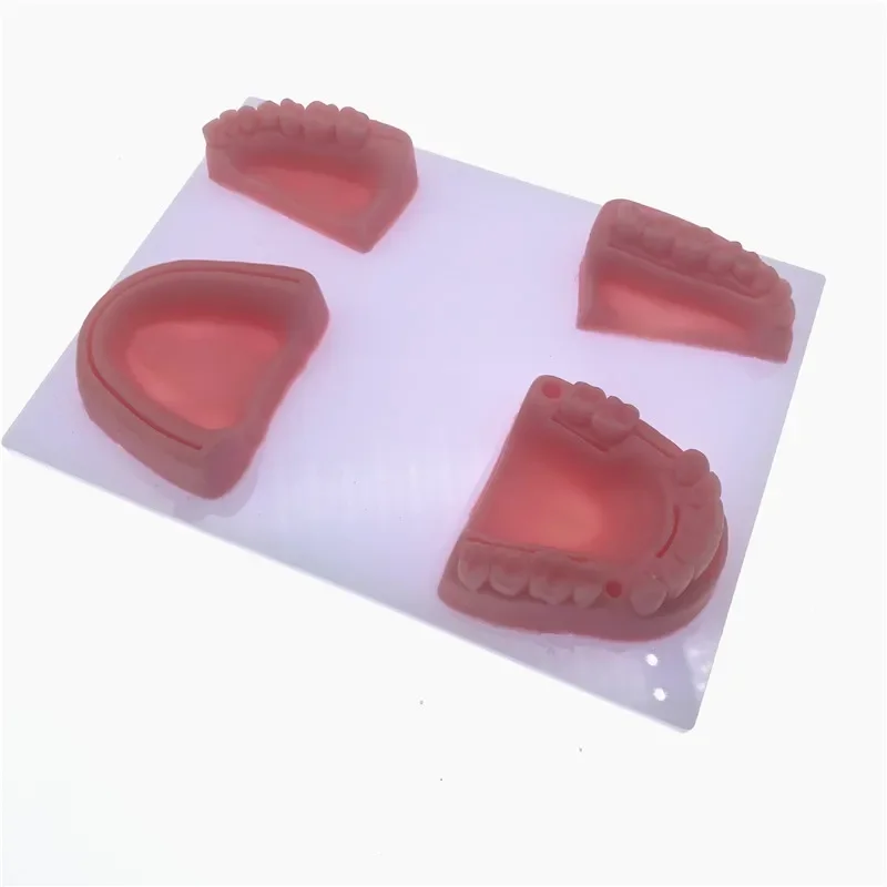 Set Dentals Oral/Gum suture training module silicone periodontitis suture model for dentist teaching model