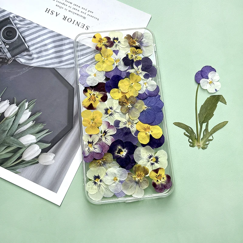 12 قطعة ، زهور مجففة فطيرة مضغوطة طبيعية لوازم يدوية ذاتية الصنع لإطار الصورة/الإشارة المرجعية/مصباح/مجوهرات من مادة الراتنج/حافظة هاتف/مكياج البتلات