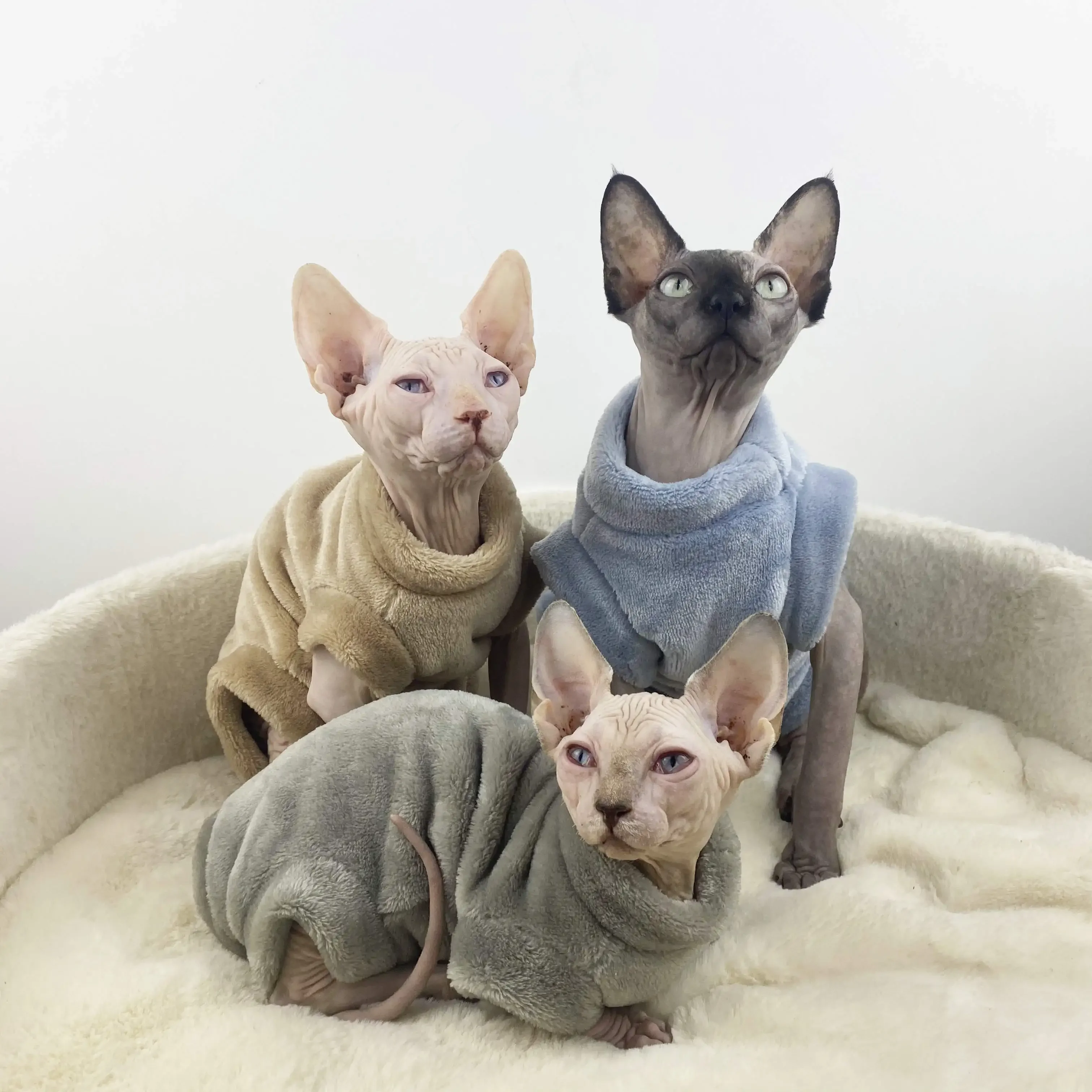 

Sphinx Hairless Cat Clothes Flannel Winter Warm Hairless Cat Four-legged Clothes Winter German Cat Clothes