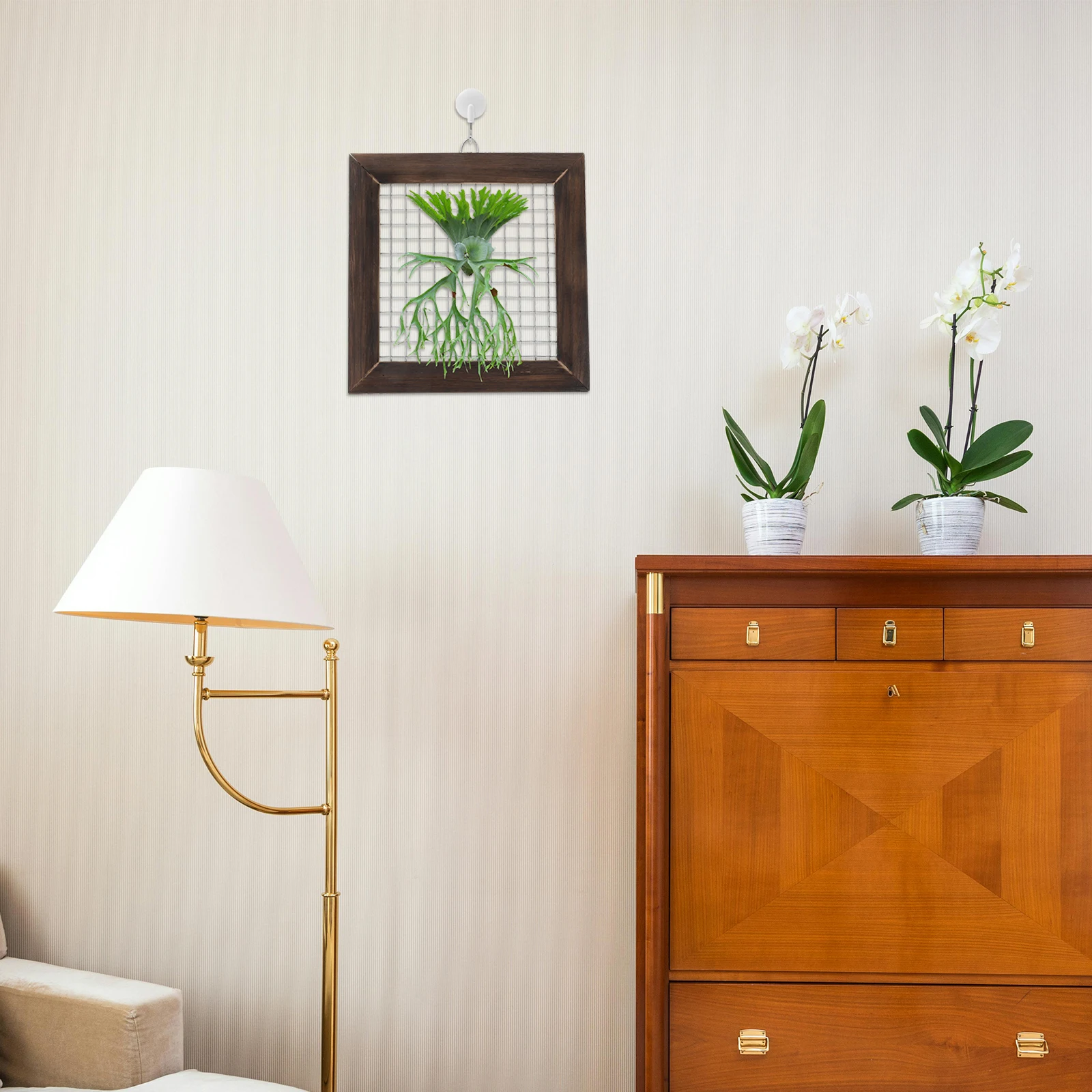 

Staghorn Fern Hanging Board 25*25CM Solid Frame Air Plants Live Houseplants with Holder