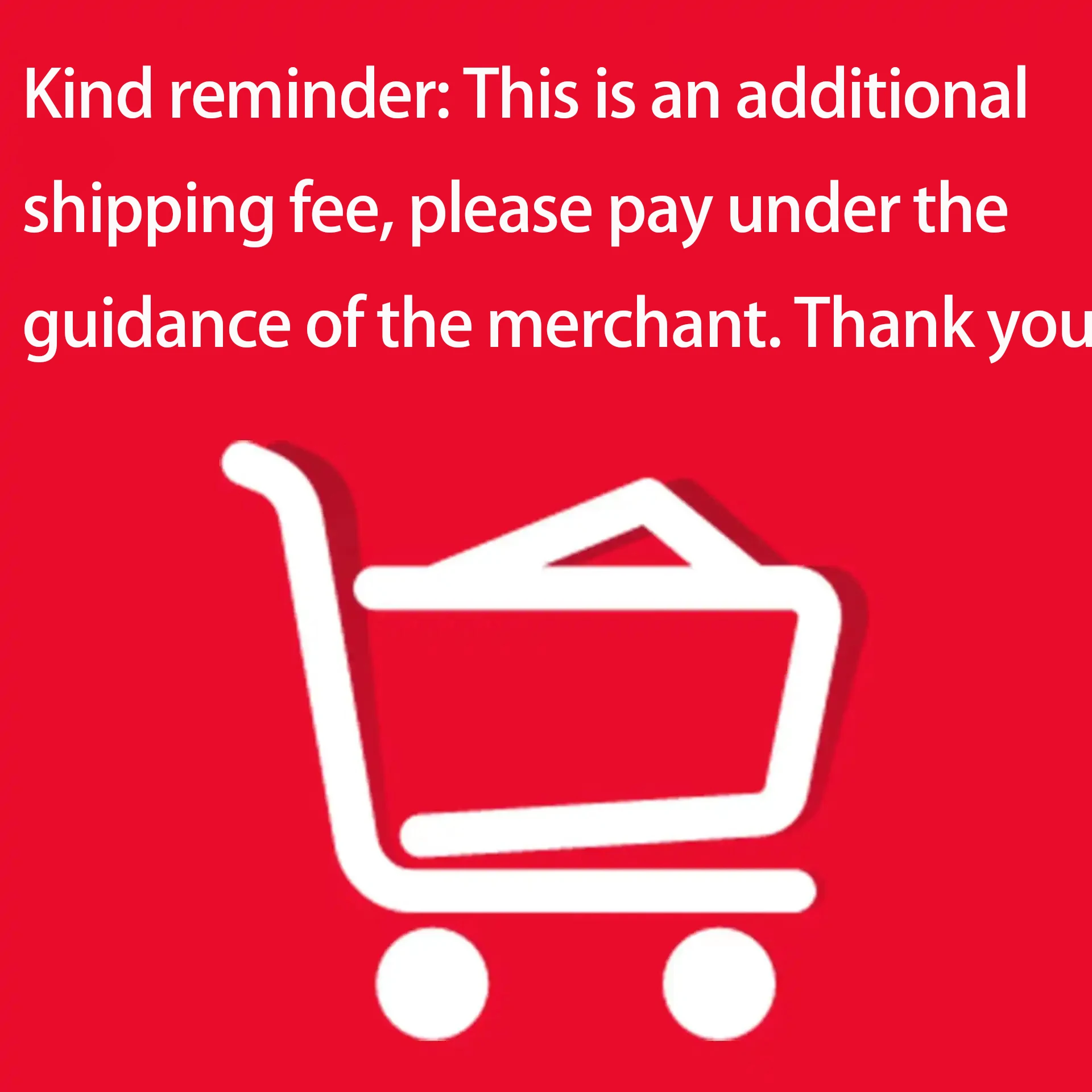 tarifa-de-envio-adicional-de-jieni-algunos-compradores-compran-accesorios-o-reemplazan-los-propositos-de-envio