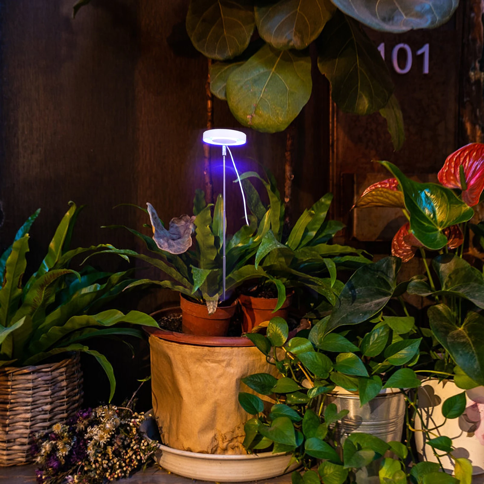 

Full LED Grow Light Lamp for Indoor Plants Adjustable Height 360 Rotation UV Supplemental Lighting Plant Grow Lights