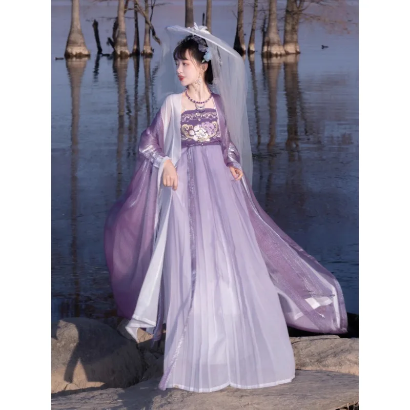 2024 Vintage lila Fee Cosplay Kleid chinesische traditionelle Frauen kleidung Tang Dynastie Blumen bestickt Hanfu Kleid Anzug