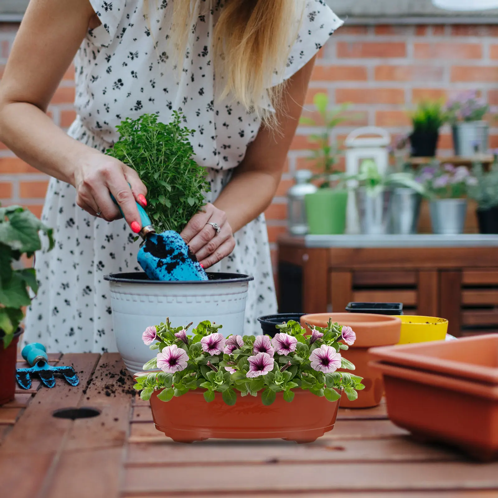 

Набор из 4 прочных пластиковых горшков для суккулентов и бонсай для дома, офиса, комнатного сада