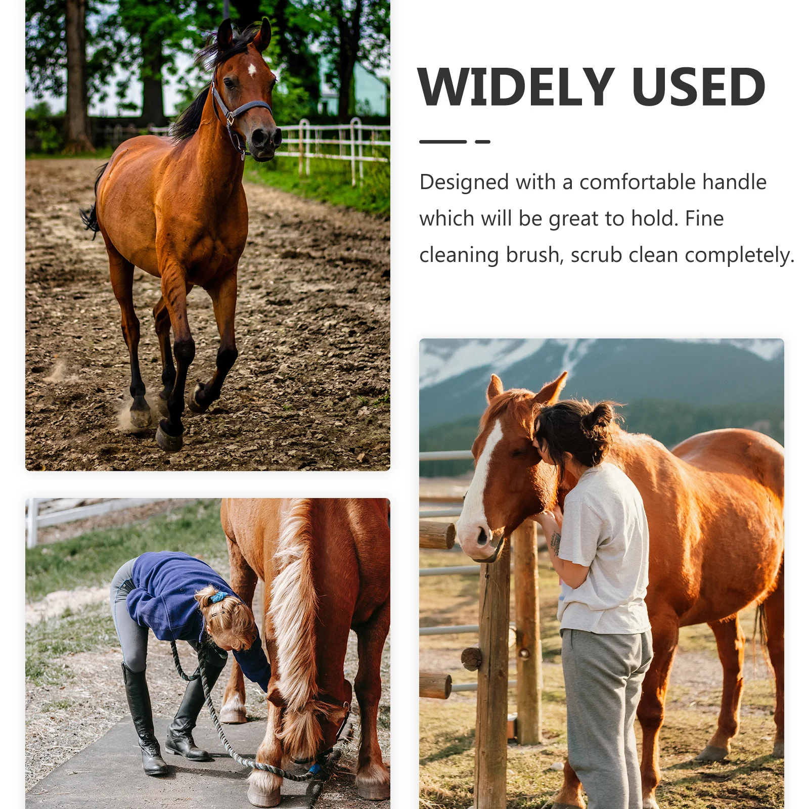 أداة تنظيف الحصان، فرشاة تزيين بلاستيكية حديدية متينة، مقبض مريح، إزالة الطين، مستلزمات تزيين الحصان #1