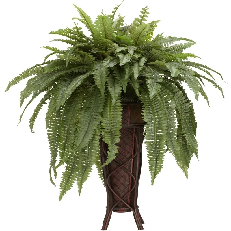 

Boston Fern with Stand Silk Plant