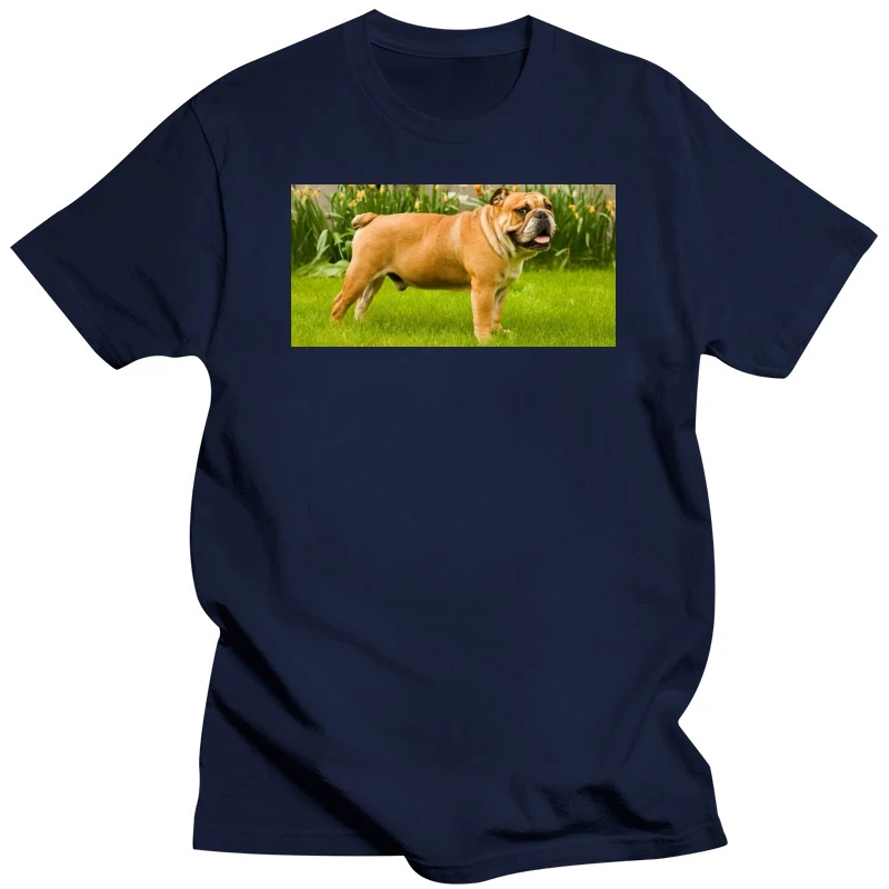 Bulldog t shirt cheap Diy t shirt Boys CasualT-shirt Tops shirt