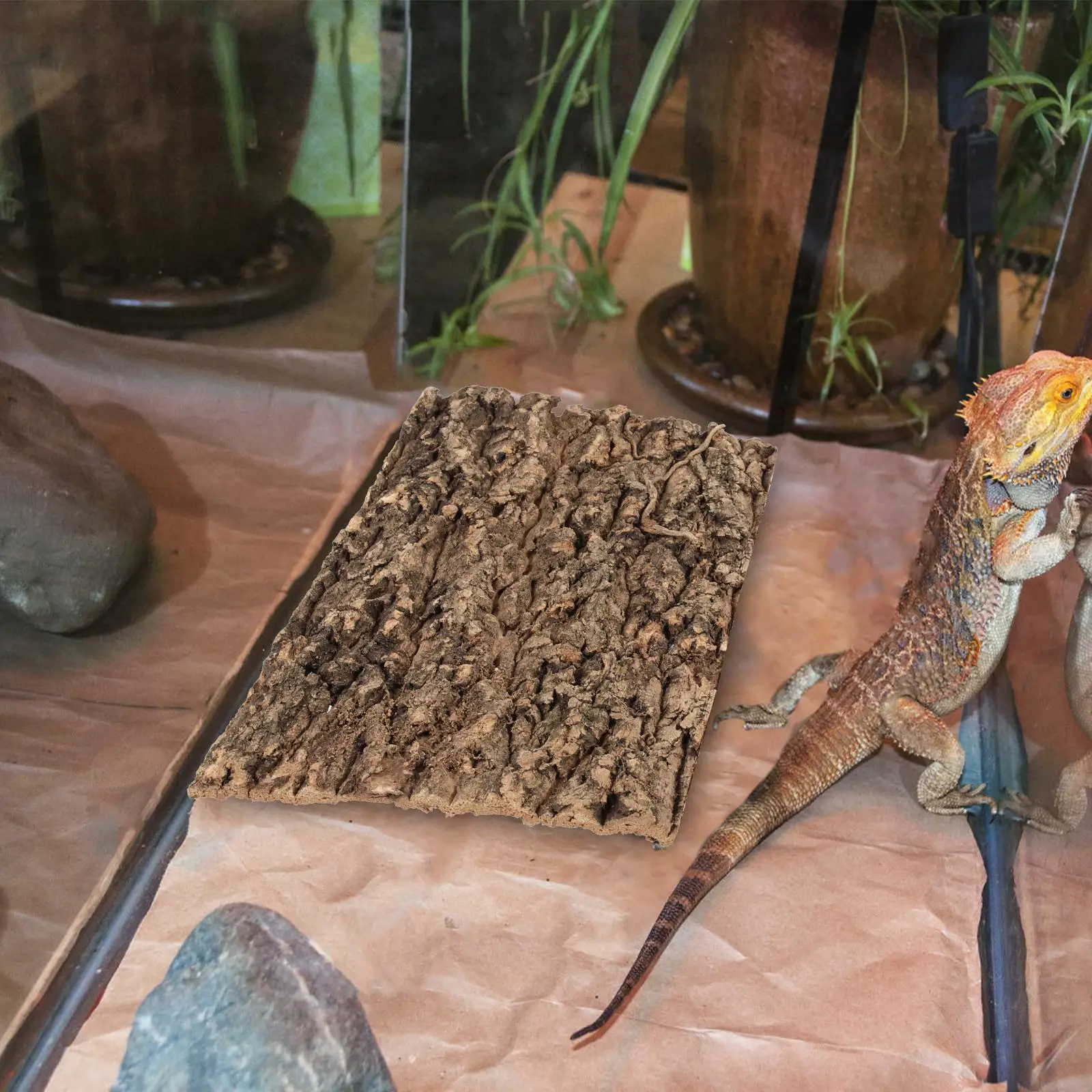 2 Pcs Climbing Bark Reptile Tree for Cork Decorate Terrarium Hide Platforms Landscape Turtle Bask