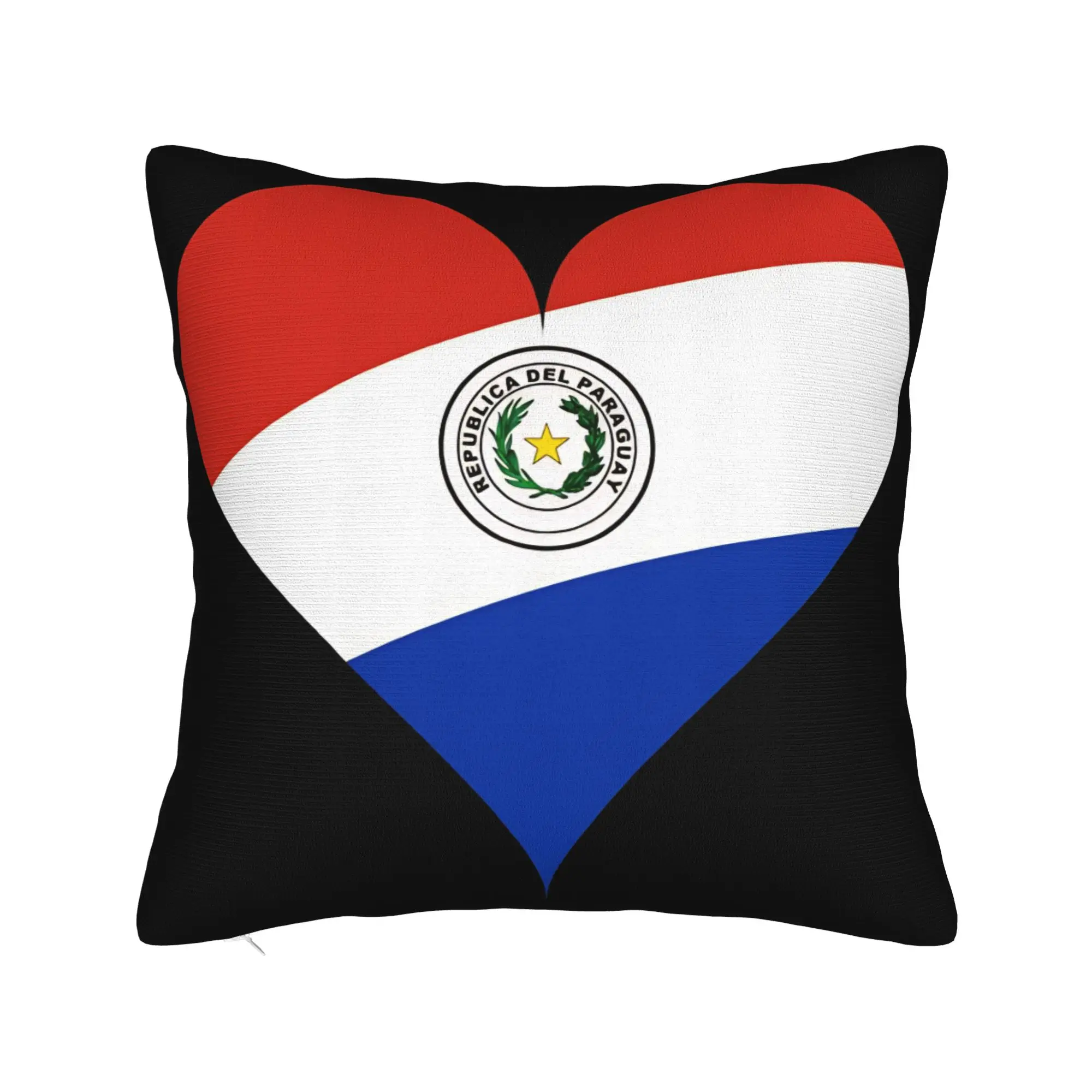 Decorative Pillow Cover Paraguay Flag Merchandise Bed  Throw Pillow Case Cover Zippered Multi Size