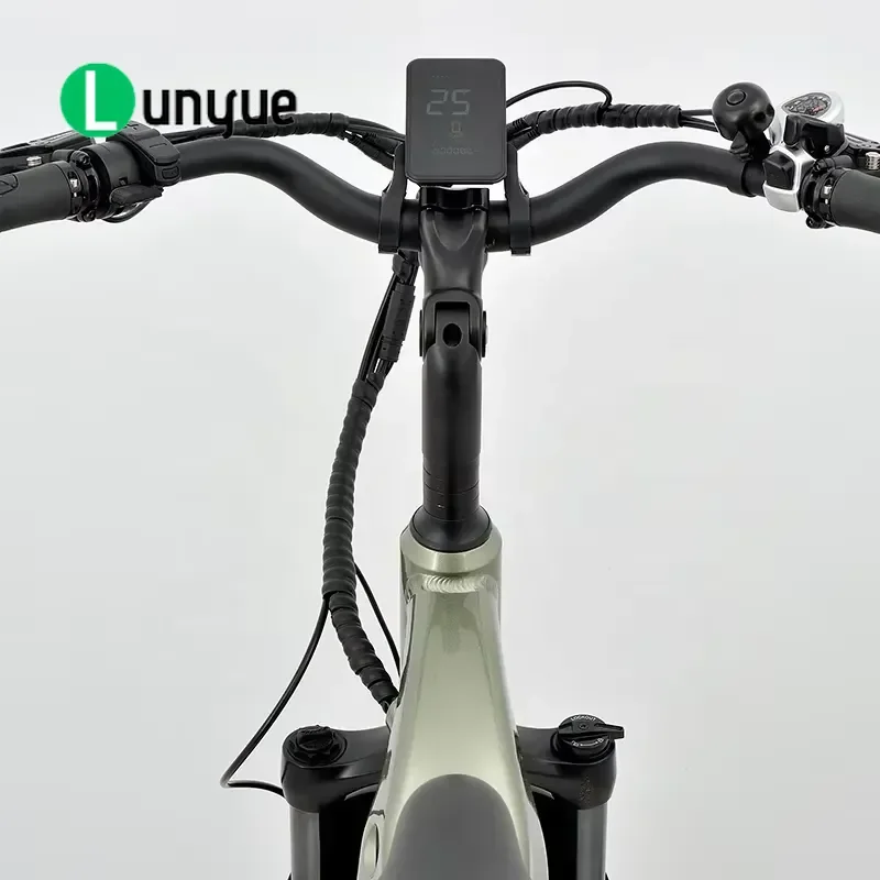 250W Electric Tricycle Fat Tire Pedal Assist Rear Hub Motor E Trike for Adults Cargo Delivery Outdoor Commuting Factory Stock
