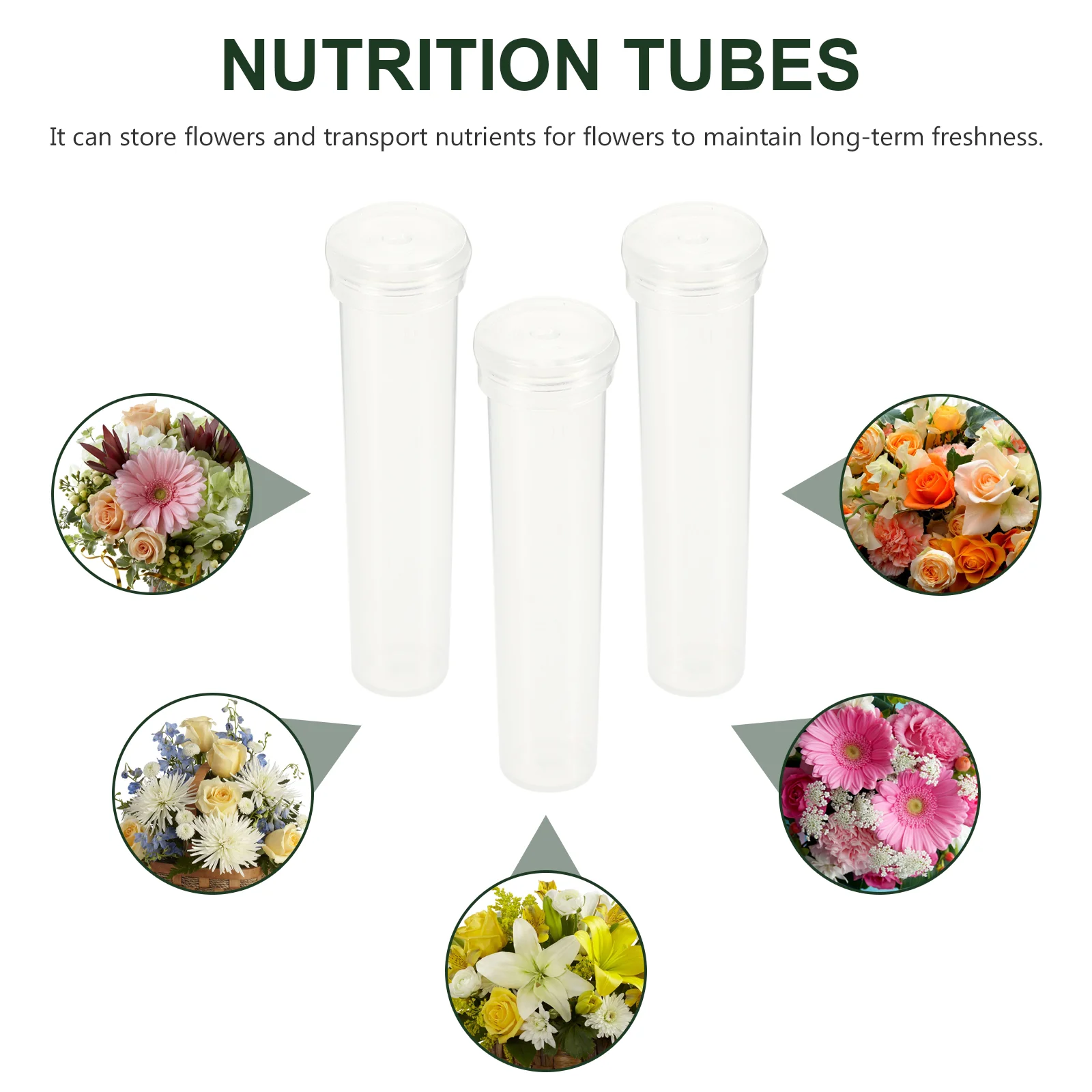 25/50/100/200pcs Nutrition Flower Plastic Tube Transparent Water Flower Tube Flower Water Container Florist Supplies