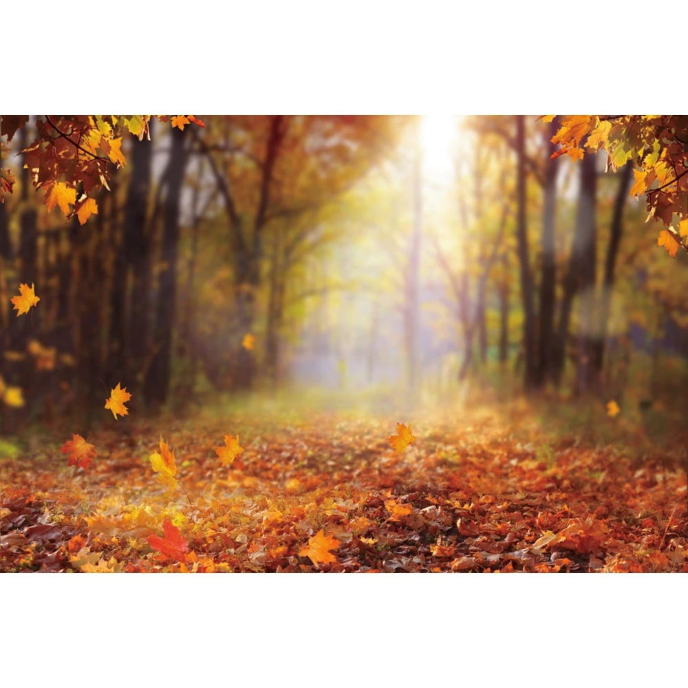 Autumn Forest Backdrop Photography Fall Maple Fallen Leaves Trees Pumpkin Natural Scenery Baby Portrait Photo Background Studio