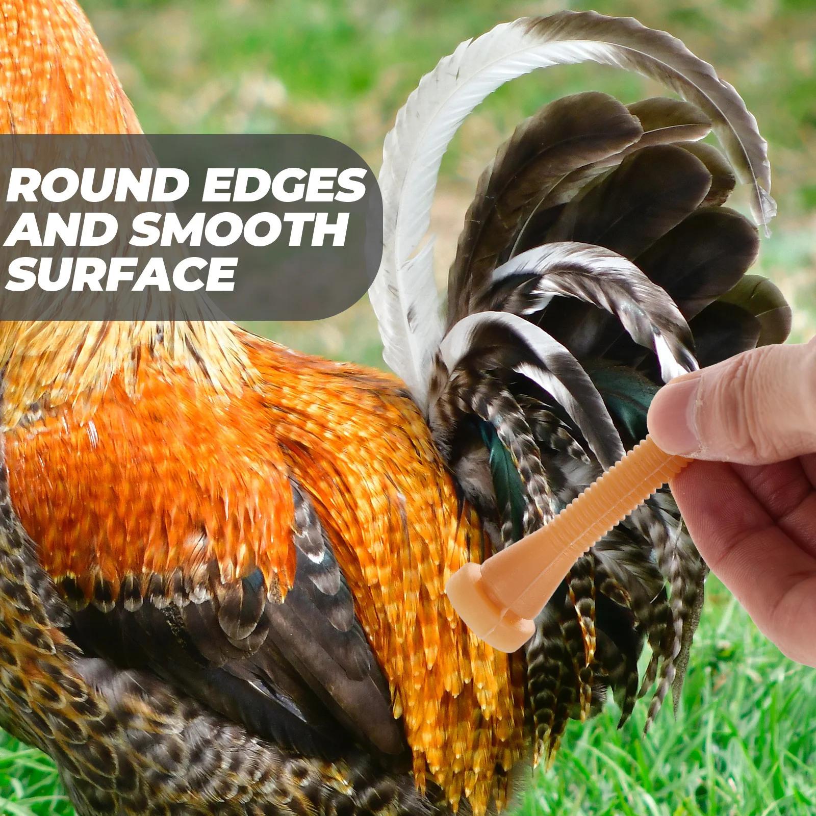 10 pçs depenador de frango dedos aves ferramenta de remoção de pêlos bordas redondas suaves haste de depenagem profissional para abate