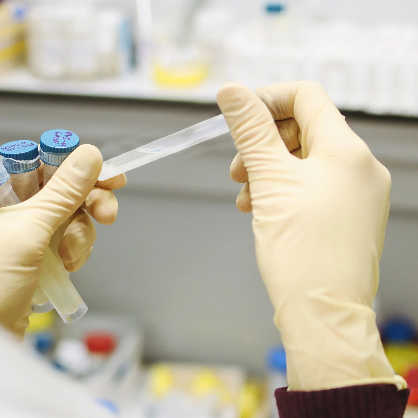 

50 Pcs Disposable Sampling Tube Sample Test Clear Plastic Tubes with Caps Transparent Liquid