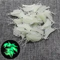 1000Pcs Luminous